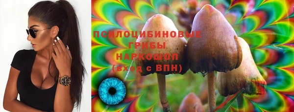 стафф Баксан