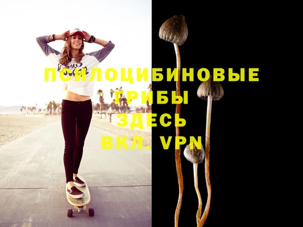 винт Балахна
