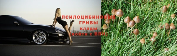гашик Белокуриха