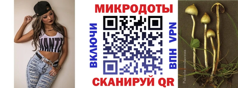 МЕГА вход  Мезень  Галлюциногенные грибы прущие грибы 